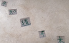 真敢言！國安主帥賽蒂恩，知場地差則不來。