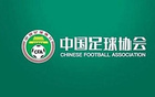 足協評議第13期：裁判錯漏判2例，南通支云無違規點球。