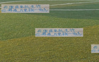 申花老將，大場面經(jīng)驗(yàn)豐富，曾發(fā)掘厄德高，再探米內(nèi)羅。