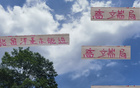 張玉寧高天意，國安申花精英；留洋進國家隊，實力非凡。