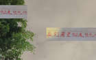 萊納多進50球，不歸化恐敗馬來西亞。
