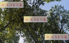 海港青春風暴，李新翔領銜，大連賽進球助攻顯身手！