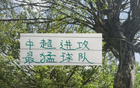 北京國安攻擊力強，海港申花進球數平。