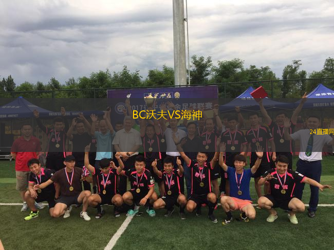 BC沃夫VS海神