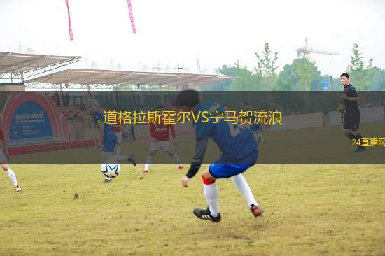 道格拉斯霍爾VS寧馬賀流浪
