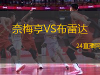 奈梅亨VS布雷達