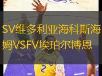 SV維多利亞海科斯海姆VSFV埃珀?duì)柌┒?></div>
          <dd>
            <li id=