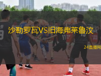 沙勒羅瓦VS舊海弗萊魯汶