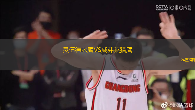 靈伍德老鷹VS威弗萊獵鷹