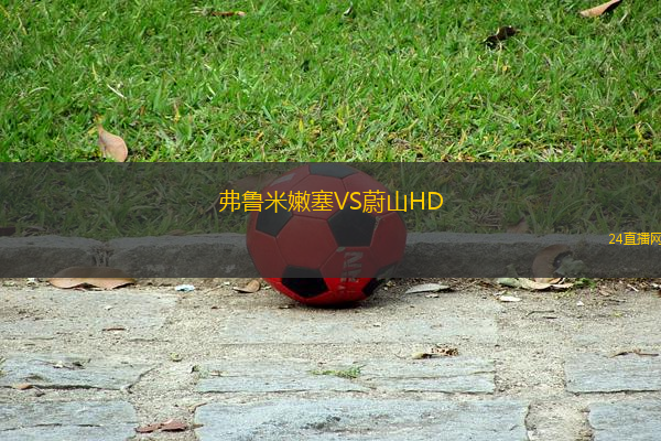 弗魯米嫩塞VS蔚山HD